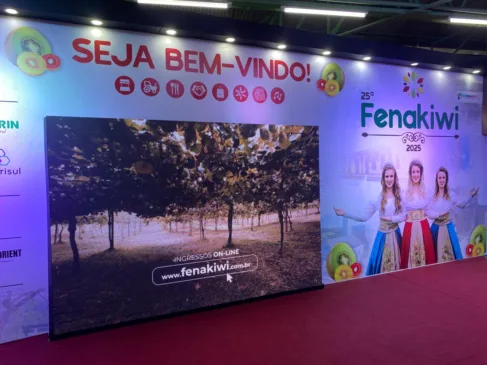 FARROUPILHA