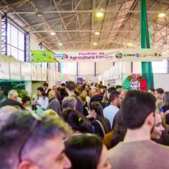 Foto: Rafael Neques / Reprodução