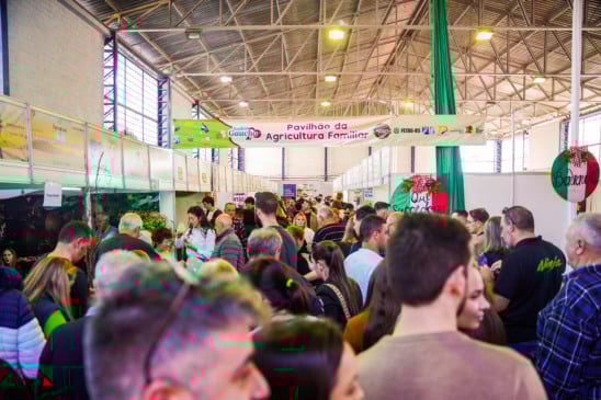 Foto: Rafael Neques / Reprodução