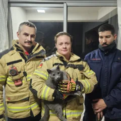 Fotos: Corpo de Bombeiros Militar/Divulgação