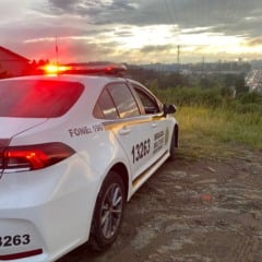 FARROUPILHA