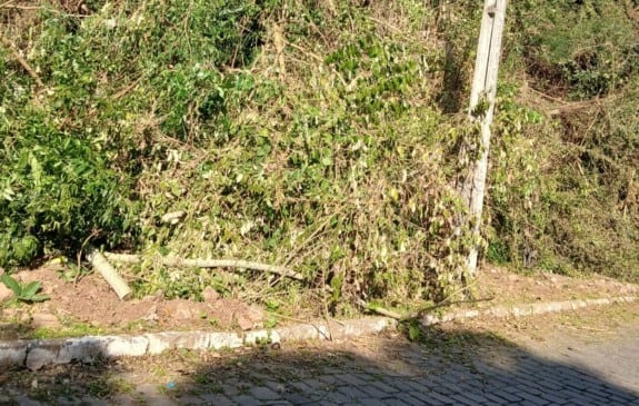 Galhos cortados por determinação da RGE seguem acumulados em calçada no bairro Zatt, em Bento Gonçalves