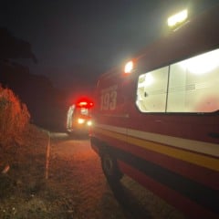 Foto: SCAB AP / Divulgação