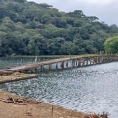 FARROUPILHA
