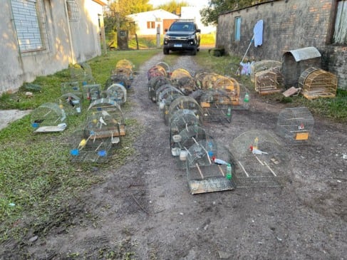 Foto: Comunicação Social da Polícia Federal no Rio Grande do Sul / Divulgação