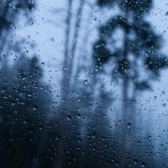 Câmara de Gramado mobiliza especialistas e autoridades em debates sobre eventos climáticos. Foto: Reprodução Freepik.