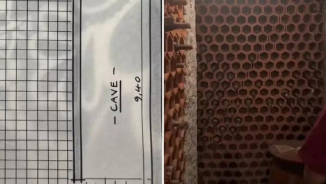 De acordo com os proprietários, o lugar está cheio de vinhos, alguns dos quais datam de 1971. (Foto: Reprodução/TikTok)