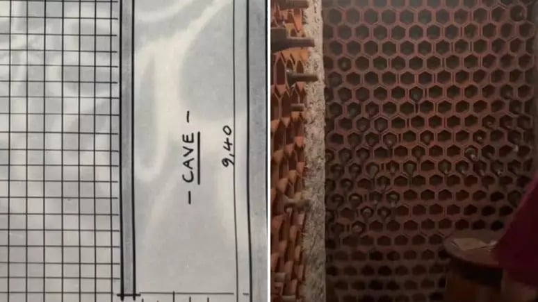 De acordo com os proprietários, o lugar está cheio de vinhos, alguns dos quais datam de 1971. (Foto: Reprodução/TikTok)