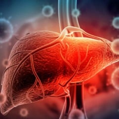 Estado chega ao Dia Mundial de Luta Contra as Hepatites Virais registrando também uma redução de 30% no número de casos. (Foto: Ilustração)