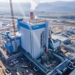 Maior fábrica de celulose do mundo será fruto de um investimento de R$ 27,3 bilhões. (Foto: Arauco/Divulgação)