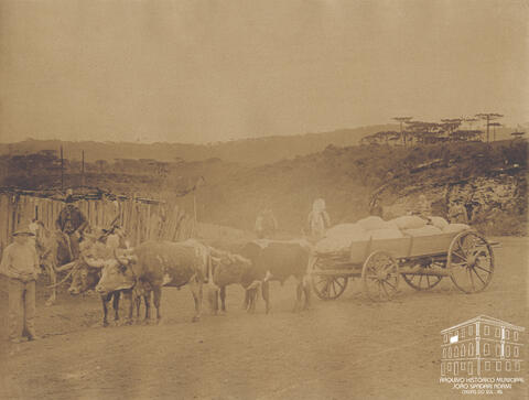 Foto: Arquivo Histórico Municipal João Spadari Adami - Álbum Recordação das Colônias. Transporte de mercadorias entres as coloniais Conde D’Eu, Dona Isabel, Alfredo Chaves, Antônio Prado e Caxias (Produção: 1885 - 1897)