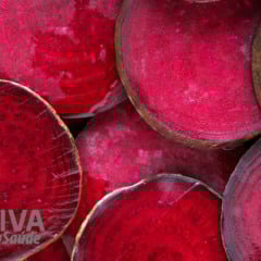 Foto: Freepik