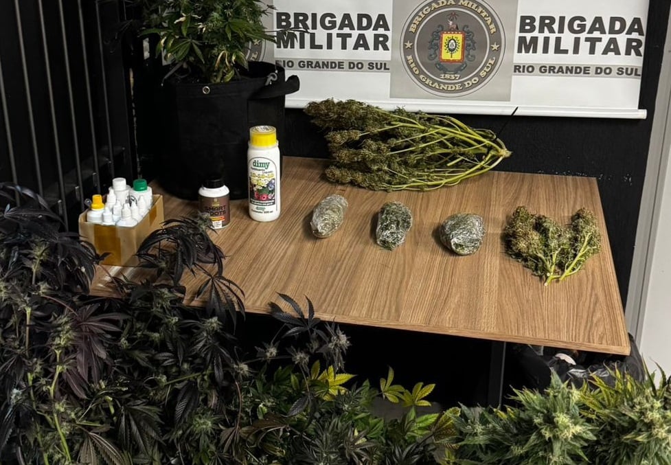 Foto: BM/Divulgação