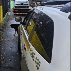 No sábado (23), foram apreendidos com os suspeitos drogas, munição, entre outros objetos, e recuperaram um veículo em situação de furto. (Foto: BM)
