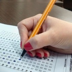 Somadas são mais de 290 vagas para diferentes níveis de escolaridade e áreas de atuação. (Foto: Reprodução)