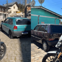 Foto: GCM/Divulgação