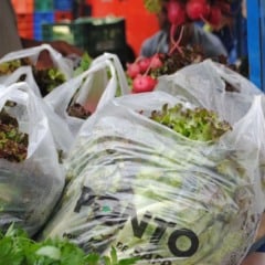 Foto: Divulgação/SMAPA