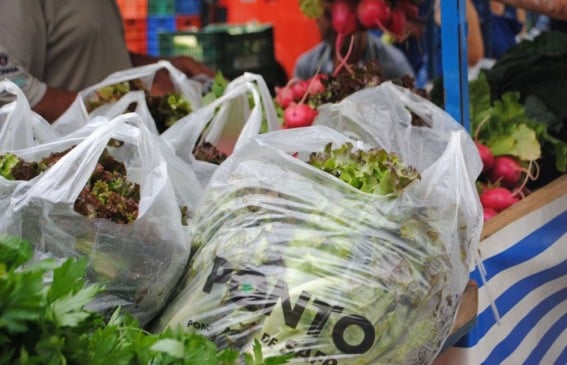 Foto: Divulgação/SMAPA