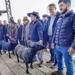 Foto: Fernando Dias/Seapi