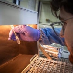 Argentina investiga mais de 100 mortes por Fentanil contaminado