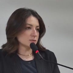 (Foto: Vídeo/ Câmara de Vereadores/ Divulgação) 