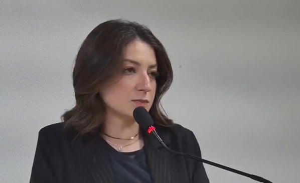 (Foto: Vídeo/ Câmara de Vereadores/ Divulgação) 