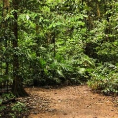 EMPRESA