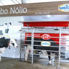 (Foto: Divulgação) Robô de ordenha na propriedade associada a Santa Clara.