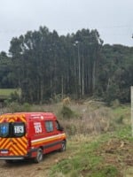 Foto: Bombeiros Voluntários de Antônio Prado / Reprodução