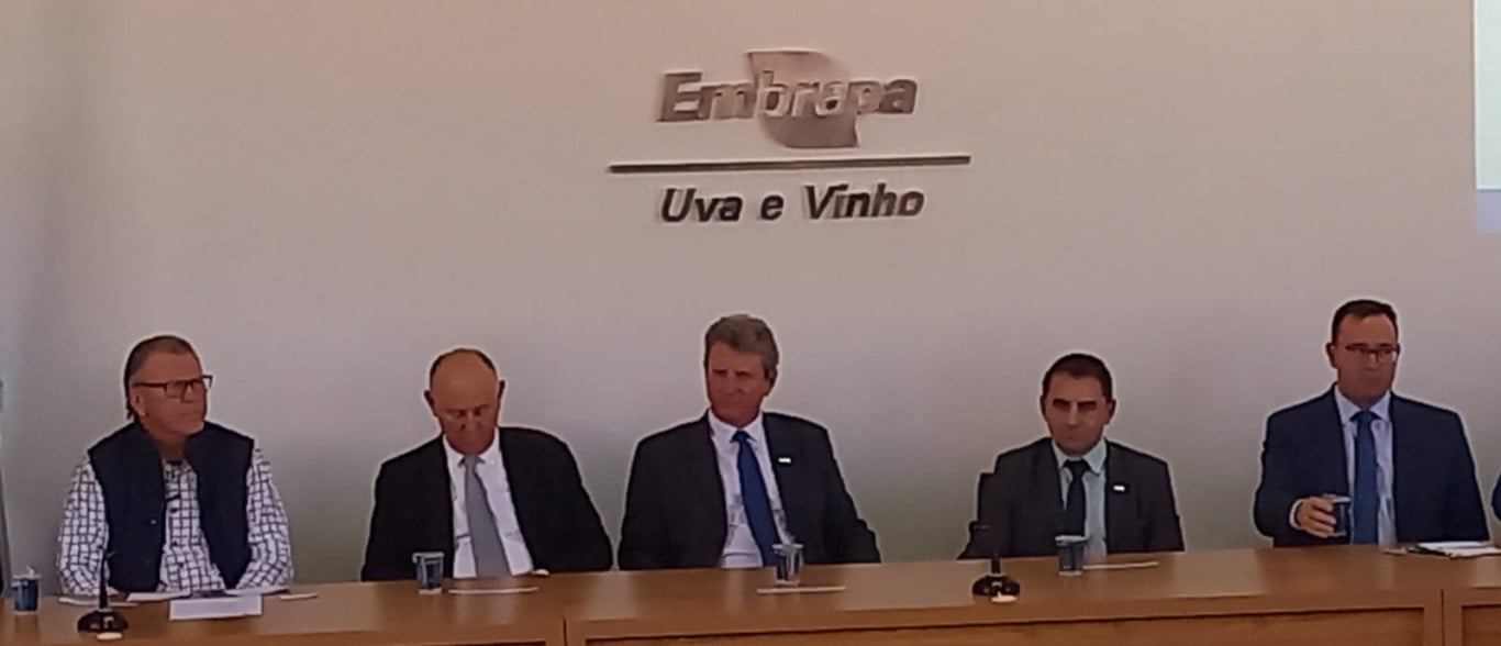Embrapa uva