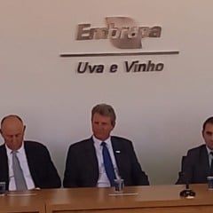 Embrapa uva