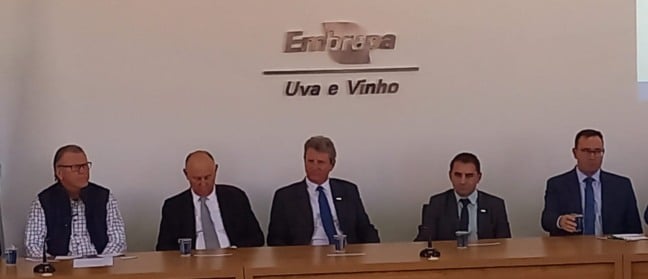Embrapa uva