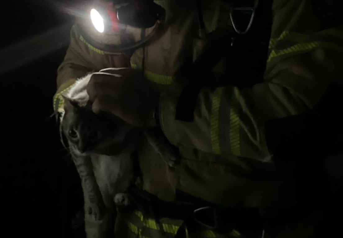 Princípio de incêndio em apartamento mobiliza Bombeiros durante a madrugada em Bento Gonçalves