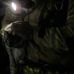 Princípio de incêndio em apartamento mobiliza Bombeiros durante a madrugada em Bento Gonçalves