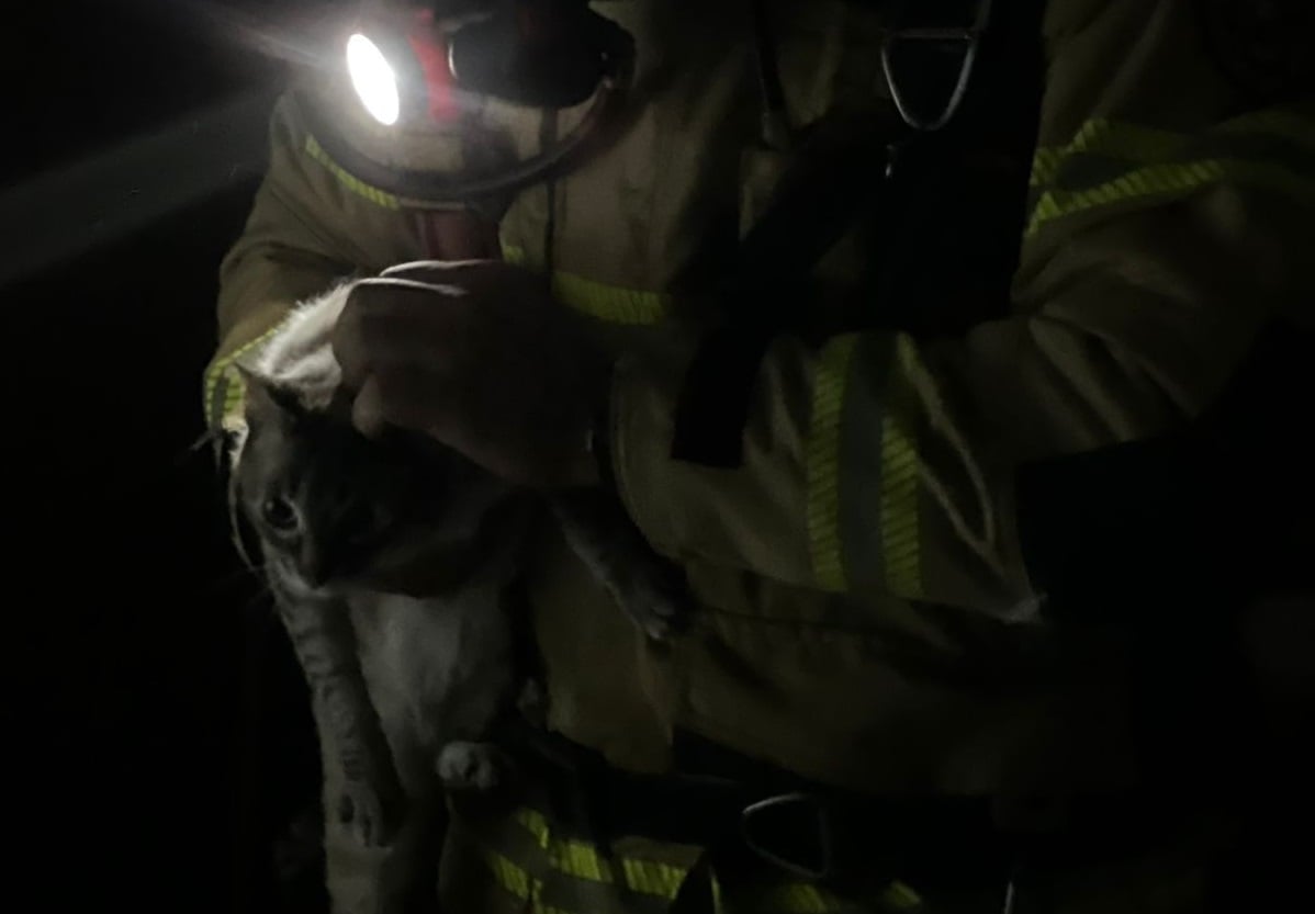 Princípio de incêndio em apartamento mobiliza Bombeiros durante a madrugada em Bento Gonçalves