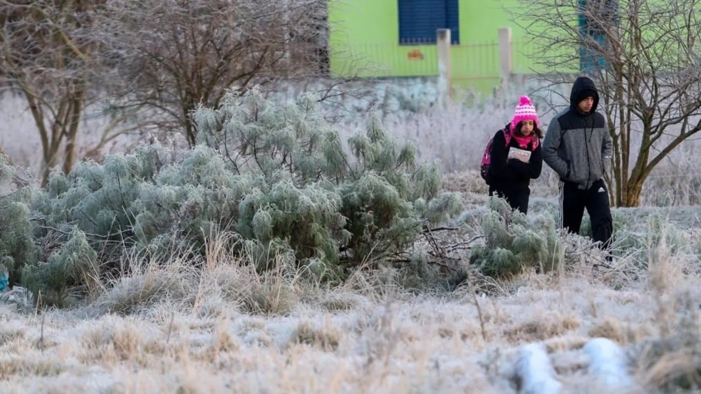 Meteorológicas automáticas indicaram temperaturas mínimas negativas nos municípios de Herval (-1,2ºC), Livramento (-0,7ºC) e em Pedras Altas (-0,2ºC). (Foto: Fabiano Ribeiro Leal)