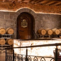 Interior de adega com barris de vinho, porta de madeira e iluminação ambiente.