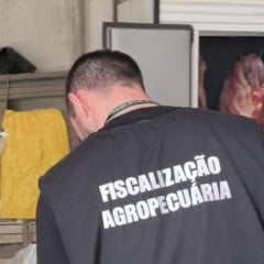 Fotos: Patram/Divulgação