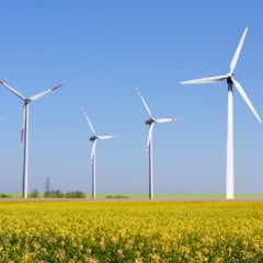 Essa energia a mais está vindo principalmente dos parques eólicos e solares do Nordeste. (Foto: Reprodução)