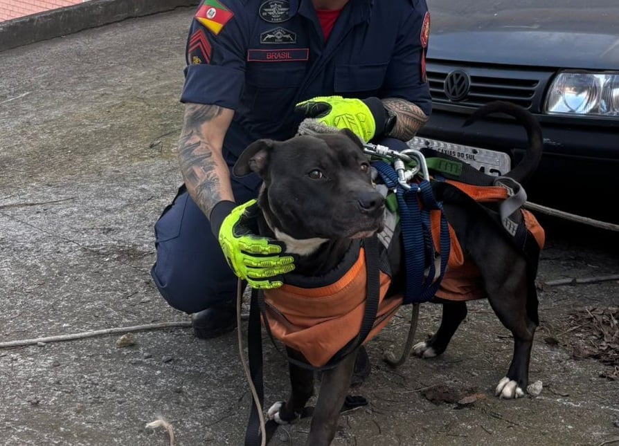 Fotos: Corpo de Bombeiros Militar de Bento Gonçalves 