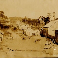 Foto: Álbum Recordação das Colônias – Arquivo Histórico Municipal João Spadari Adami - Rua Silveira Martins, atual Avenida Júlio de Castilhos, Caxias do Sul (1885-1897)