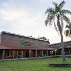 Foto: Felipe David/Divulgação