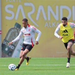 Foto: Ricardo Duarte/S.C. Internacional