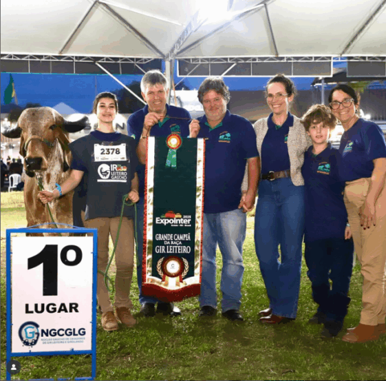 Fotos: Divulgação