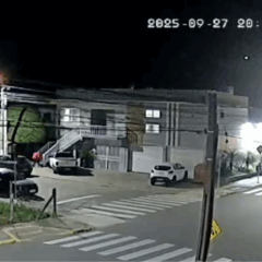 Homem é flagrado depositando gata baleada em frente à casa de tutores, em Garibaldi
