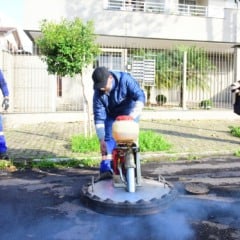 Foto: Maria Antonia Pires/Samae