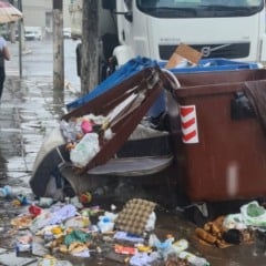 (Foto: Divulgação) 