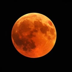 LUA