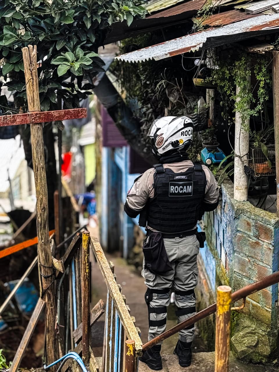 Foto: BM / Divulgação