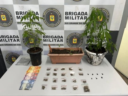 Homem é preso com dois pés de maconha em Caxias do Sul